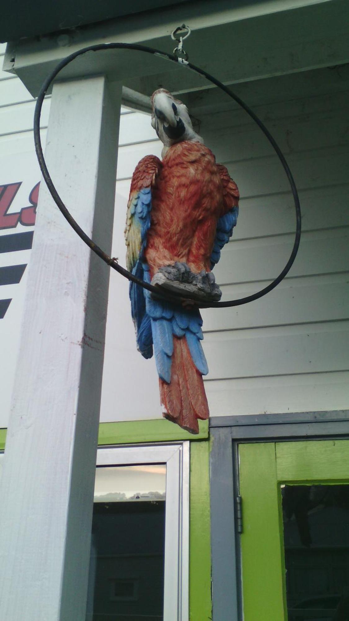 Wellington 747 Motel Zimmer foto